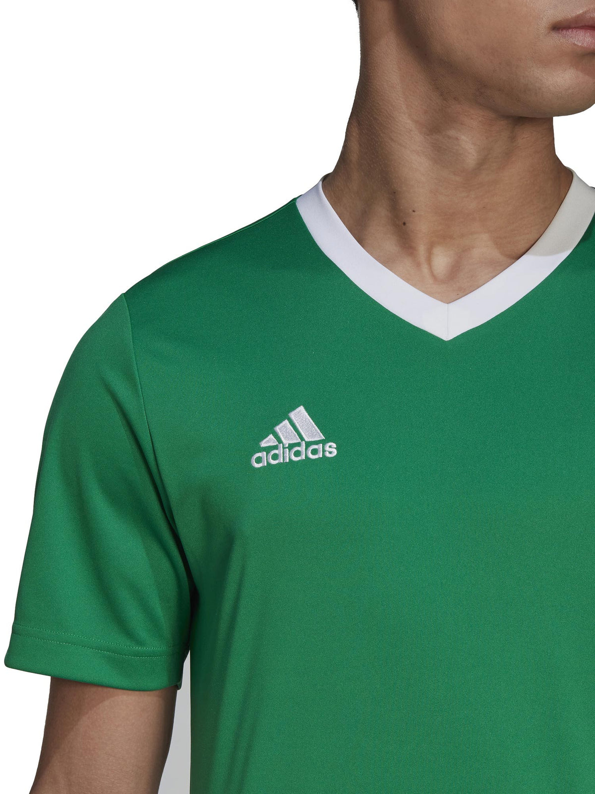 ADIDAS PERFORMANCE Тениска Entrada 22
