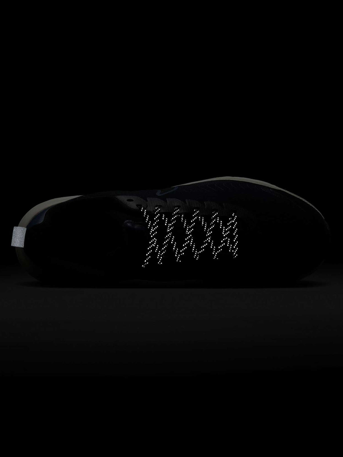 NIKE Обувки AIR MAX NUAXIS WTR