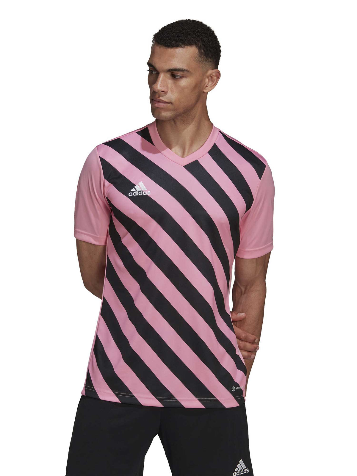 ADIDAS PERFORMANCE Тениска Entrada 22 Graphic Jersey