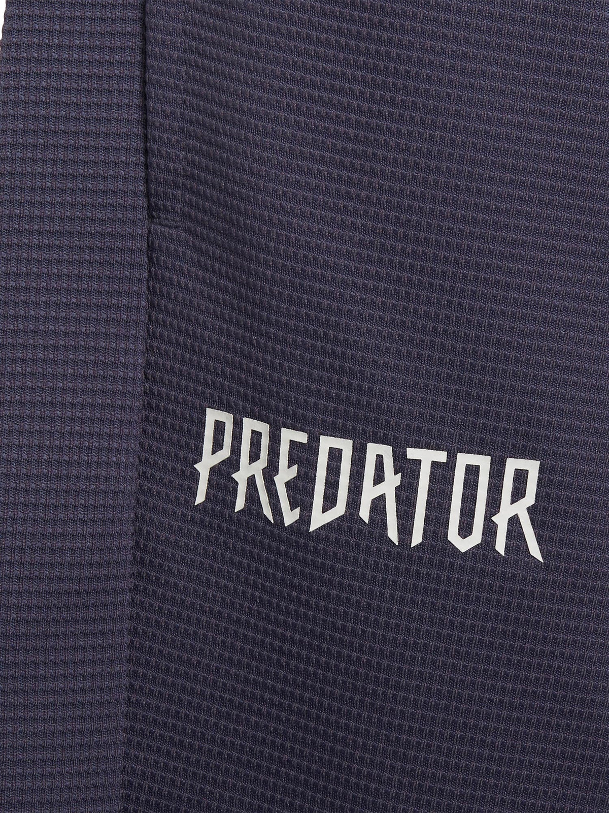 ADIDAS SPORTSWEAR Спортен екип Predator