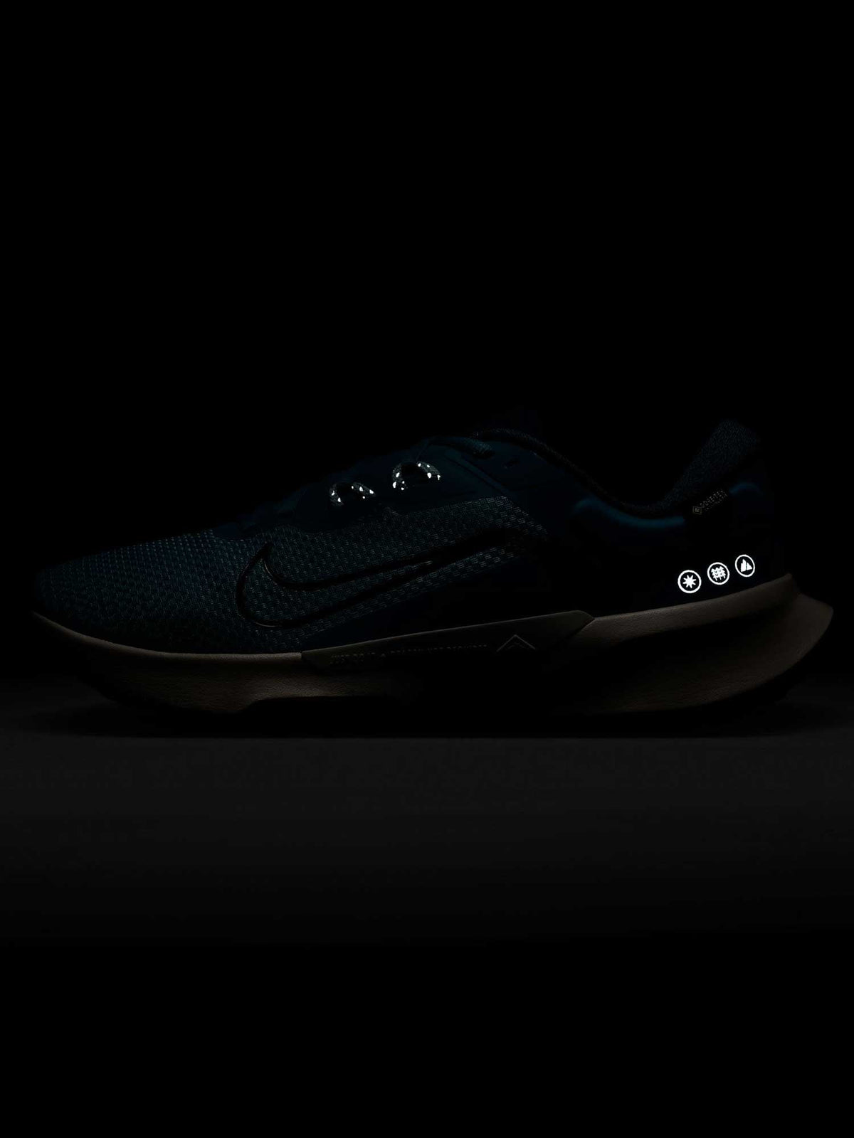 NIKE Обувки JUNIPER TRAIL 2 GTX V2